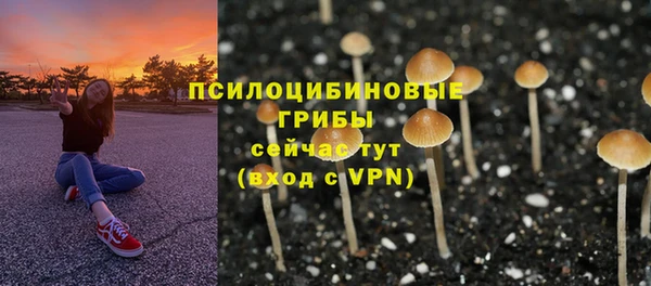 ECSTASY Тобольск