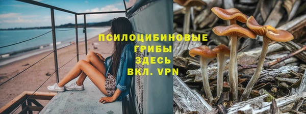 таблы Тихвин