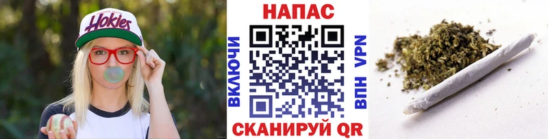 Канабис план  Купить где  Могоча 